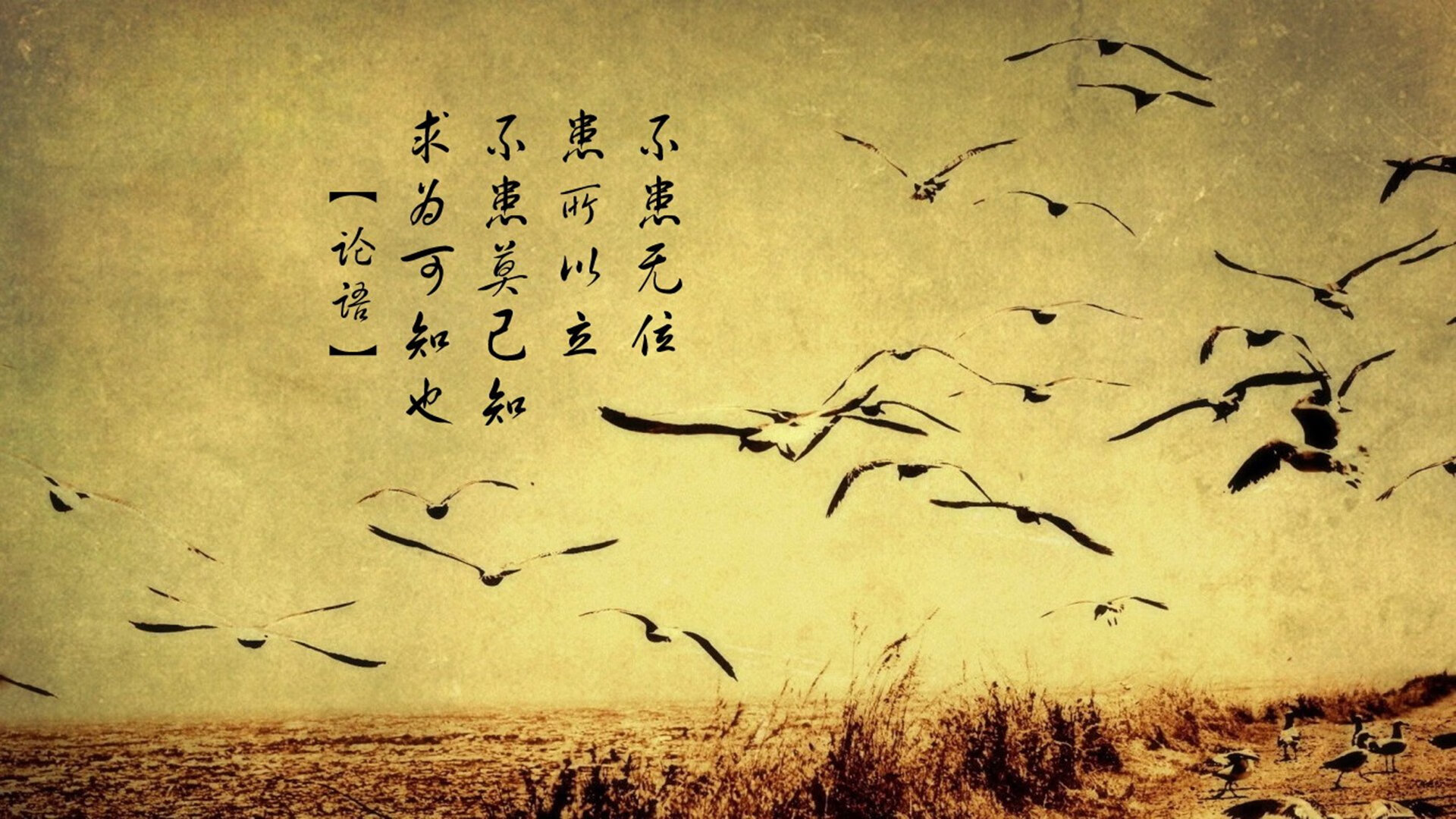 高校运动训练效果科学评估与优化研究,运动训练专业学科评估排名