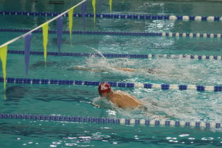 华体会登陆-张雨霏自由泳赛段发力迅速，张雨霏自由泳实力