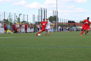 华体会手机在线-未来足球运动场将实现环保材料全覆盖，绿色发展理念深入人心，室外足球场的运营方案