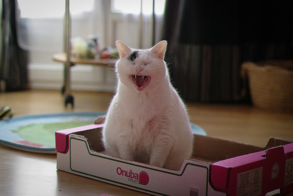 瑞典国家队迎来新战术体系，逐渐走出低谷