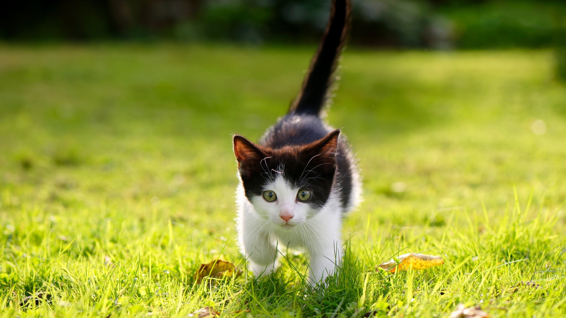 华体会-男子篮球国家队着力提高球员防守覆盖范围，国际男篮防守有3秒规定么