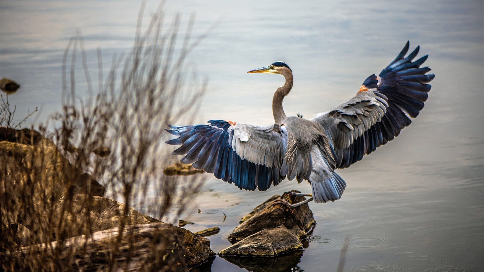 华体会网址-青训基地开设球员礼仪课程培养综合素质能力，足球青训人才