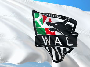 华体会登录-中国足球媒体与球迷之间的沟通误区与信任重建，中国足球球迷的心声