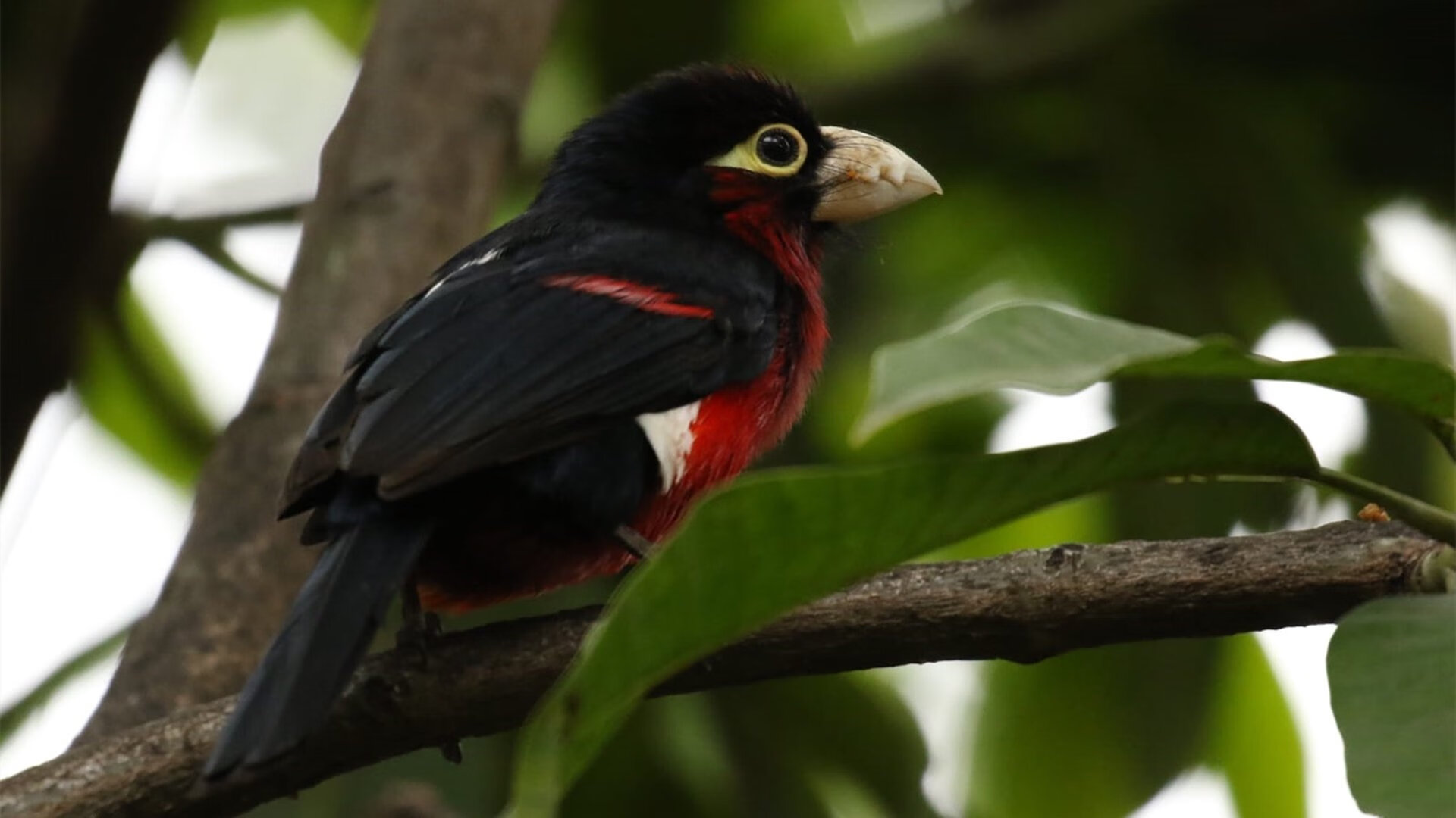 华体会网址-中国足球社区联赛推广与社会参与度提升，社区足球试点城市