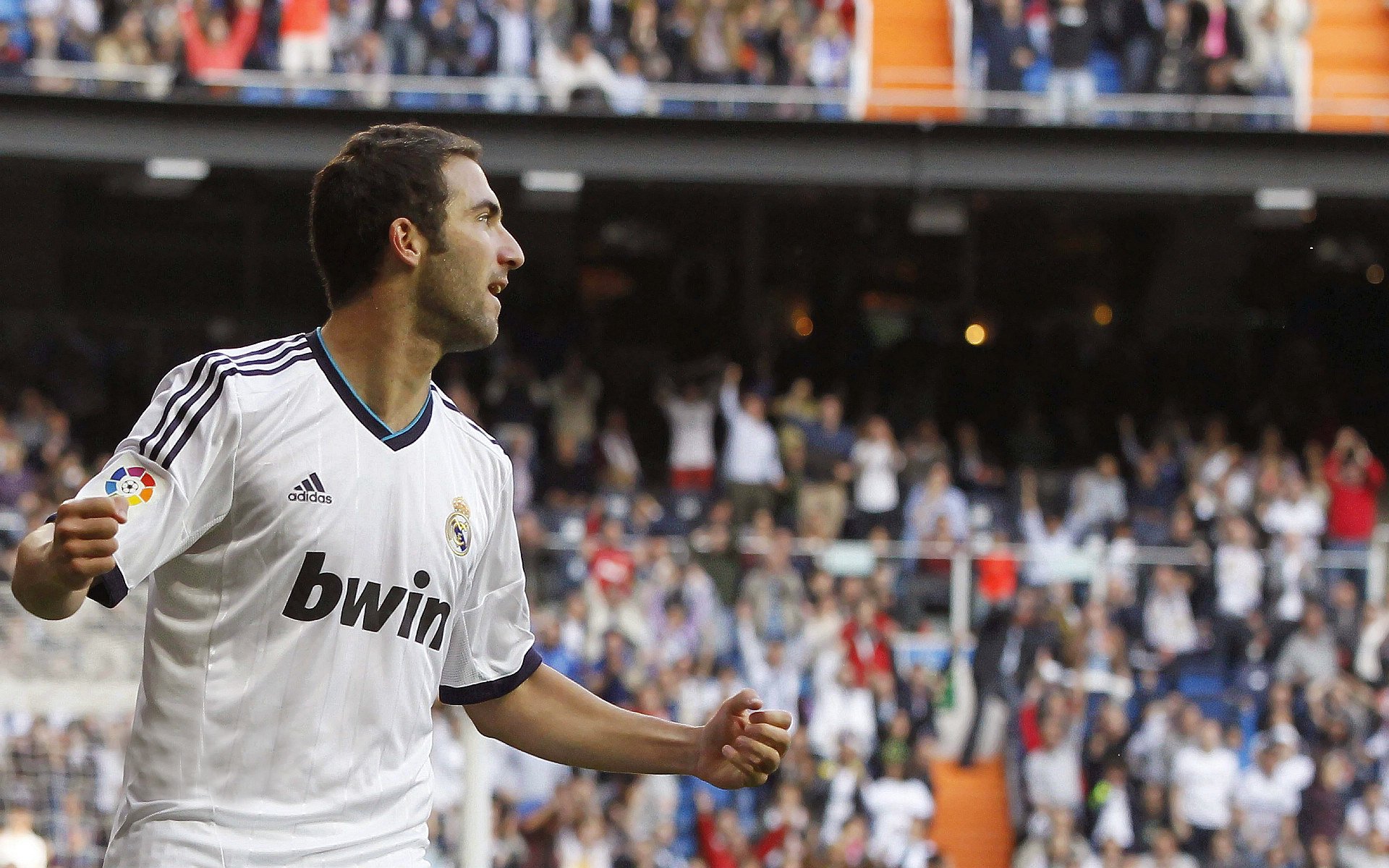 “霍斯特挑战世界顶级防守，助力南非羚羊队战胜强敌”